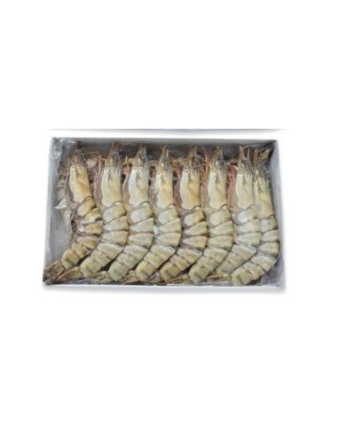 GAMBAS ENTIER 13/15 NSFIL 800G