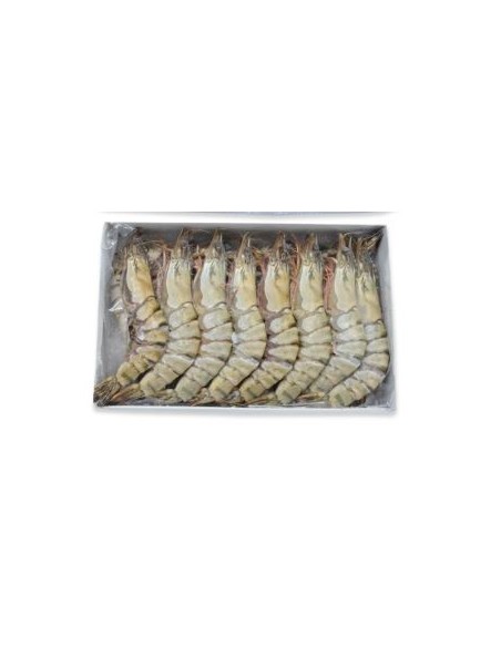 GAMBAS ENTIER 13/15 EBI 800G