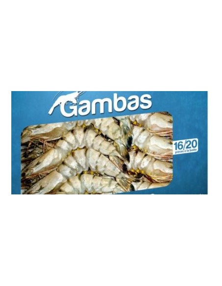 GAMBAS ENTIER 16/20 EBI 800G