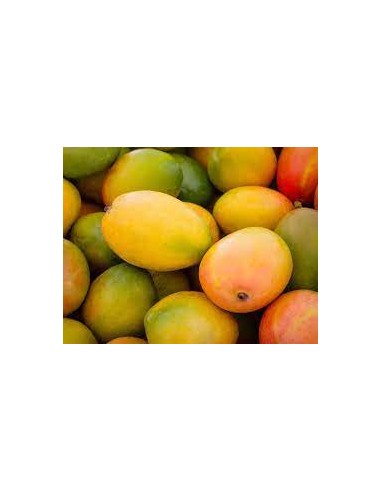 MANGUE AFFINEE LE KILO (ORIGIN.CIV)