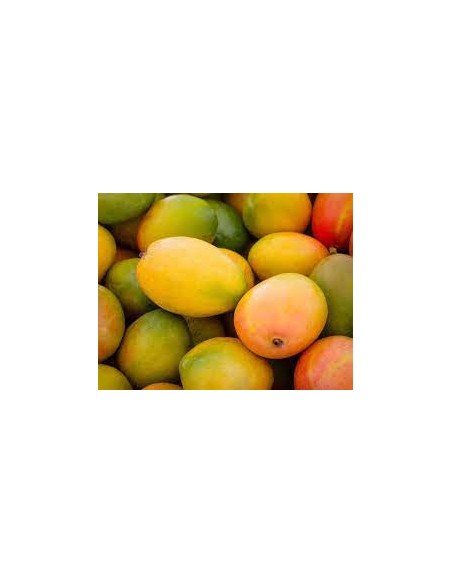 MANGUE AFFINEE LE KILO (ORIGIN.CIV)