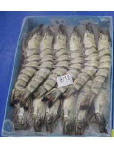 GAMBAS ENTIER 8/12 M.D.MONDE 800G