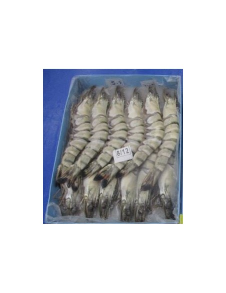 GAMBAS ENTIER 8/12 M.D.MONDE 800G
