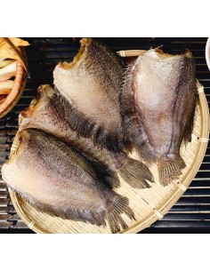 GOURAMI SECHE-KHO CA SAC PSP 454G