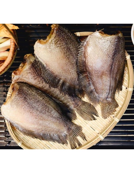 GOURAMI SECHE-KHO CA SAC PSP 454G