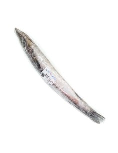 POISSON BARRACUDA CONEGEE LE KILO