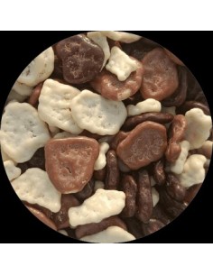 CHIPS DE BANANE ENROBEE CACAO 100G