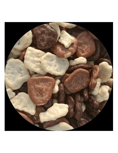 CHIPS DE BANANE ENROBEE CACAO 100G