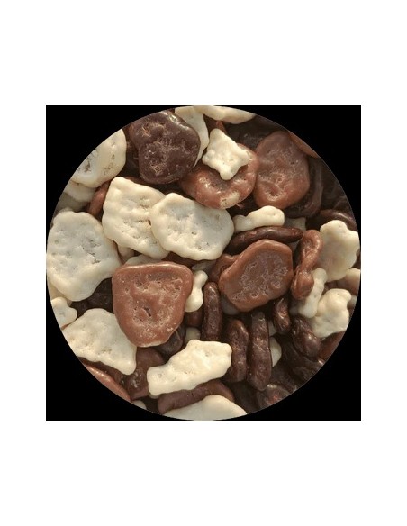 CHIPS DE BANANE ENROBEE CACAO 100G