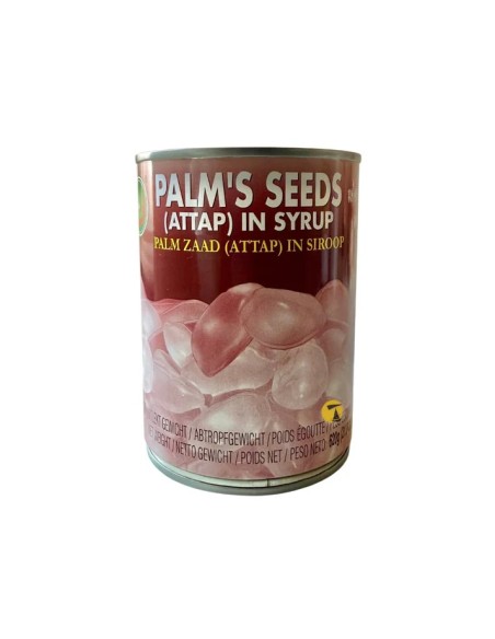 GRAINES DE PALMIER AU SIROP X.O 620G