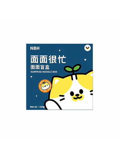 BOX SURPRISE NOUILE INST NBH 220G