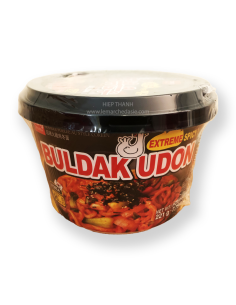 NOUILLE INST UDON POULET EPICE CUP WANG 221G
