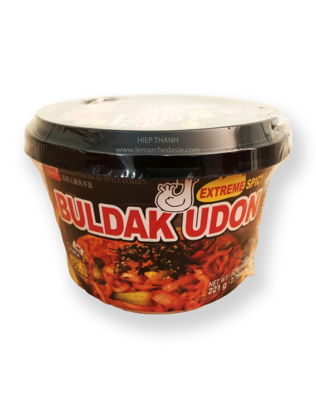 NOUILLE INST UDON POULET EPICE CUP WANG 221G