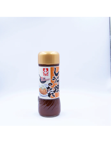 SAUCE GINGEMBRE PR VIANDE 225G
