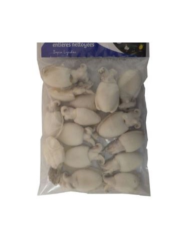SEICHE ENTIER 20/40 AUREL 700G