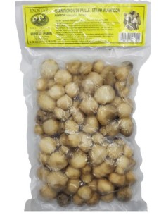 CHAMPIGNON PAILLE CONGELE EXOSTAR 500G