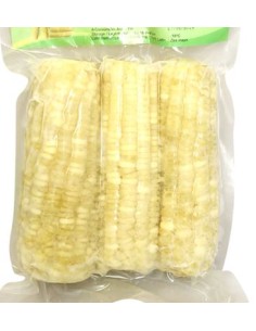 MAIS CONGELE G.TURTLE 500G 10KG/CT