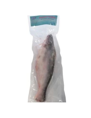 PANGA ENTIER VIDE 500/800 LE KILO