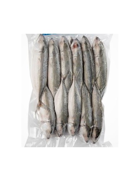 MAQUEREAU ENTIER CONGELE MSF 1KG