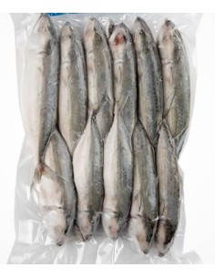 MAQUEREAU ENTIER CONGELE MSF 1KG*10/CT