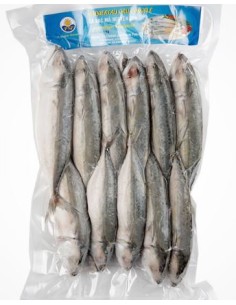 MAQUEREAU ENTIER CONGELE PSP 1KG*12/CT