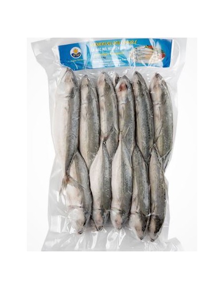 MAQUEREAU ENTIER CONGELE PSP 1KG*12/CT