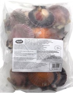 NOIX ST JACQ. 20/30 A/C DEMI COQUILLE EBI 1KG*10/CT