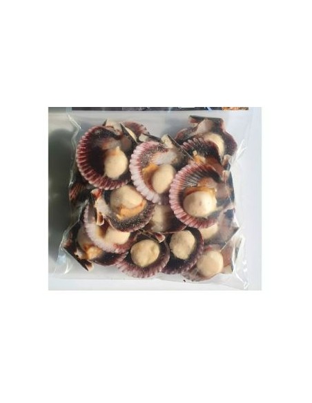 NOIX ST JACQ. 20/30 A/C USA EPIC 800G*10/CT