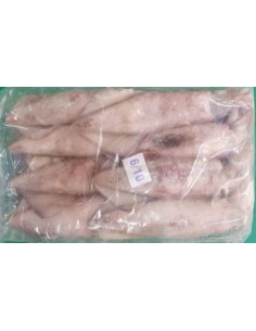 CALAMAR ENTIER INDIO 6/10 *12/CT