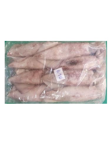 CALAMAR ENTIER INDIO 6/10 *12/CT
