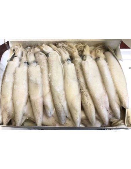 CALAMAR ENTIER CALI 1KG*12/CT