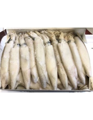 CALAMAR ENTIER CALI 1KG