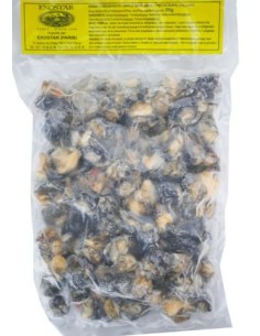 CHAIR ESCARGOT EXOSTAR 500G