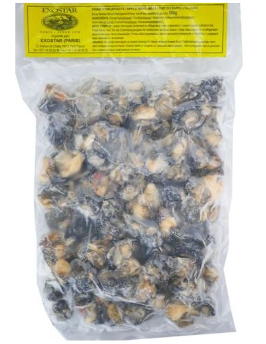 CHAIR ESCARGOT EXOSTAR 500G