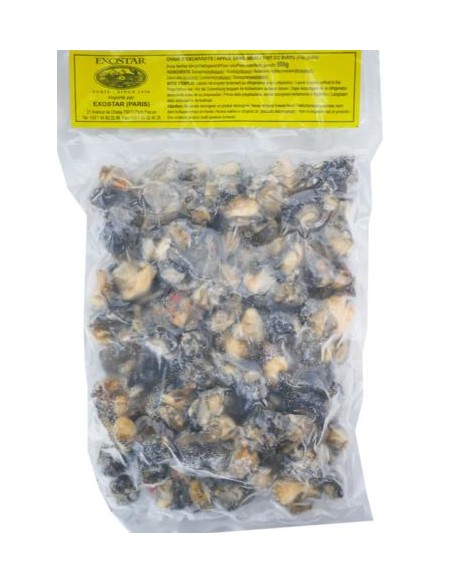 CHAIR ESCARGOT EXOSTAR 500G