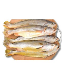 COURBINE JAUNE 85-105G COCK LE KILO