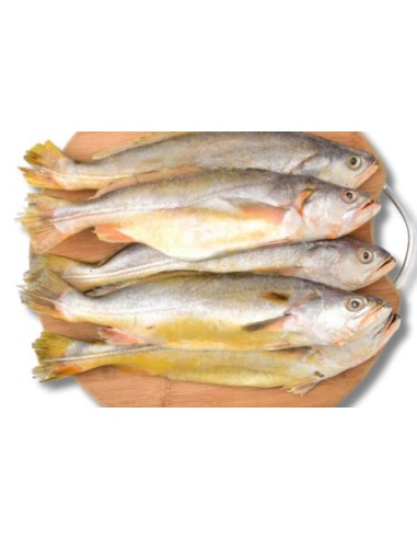 COURBINE JAUNE 85-105G COCK LE KILO