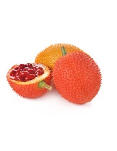 MOMORDIQUE GAC EXOSTAR 500G*20/CT