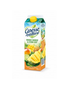 NECTAR ANANAS MANGUE CITRON VERT CARESSE 1L