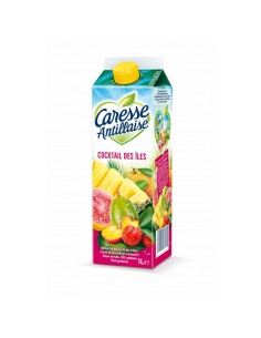 NECTAR COCKTAIL DES ILES CARESSE 1L