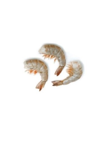 QUEUE CREV 21/25 ROYAL 1.4KG*10/CT