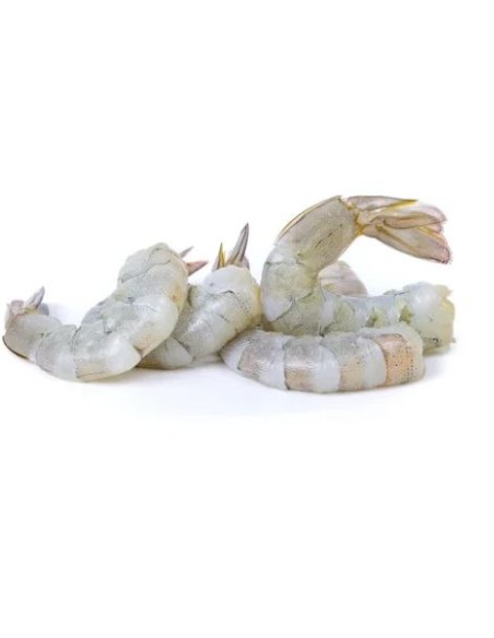 CREVETTE PTO 26/30 SAIGON CRIMASA  VRAC 10KG*2/CT