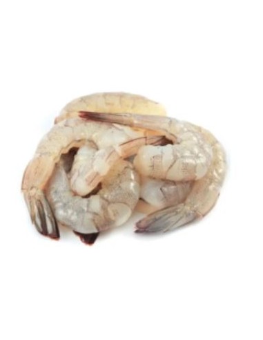 CREVETTE PTO 31/40 EQUATEUR 70% 1,4KG NET*10/CT