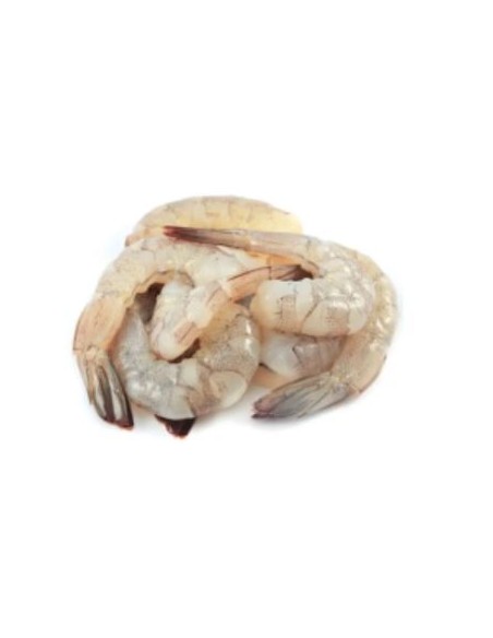 CREVETTE PTO 26/30 EQUATEUR 70% 1,4KG NET*6/CTN