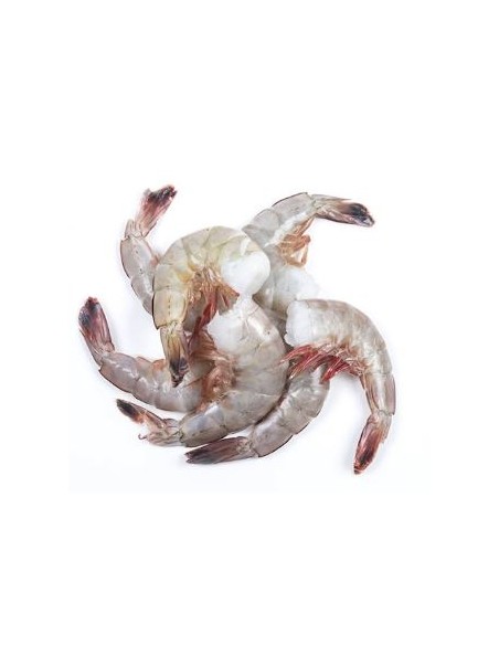 QUEUE CREV 31/35 REDBAY 1.4KG