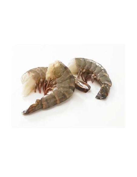 QUEUE CREV 31/40 TROPICAL 1.26KG*6/CT