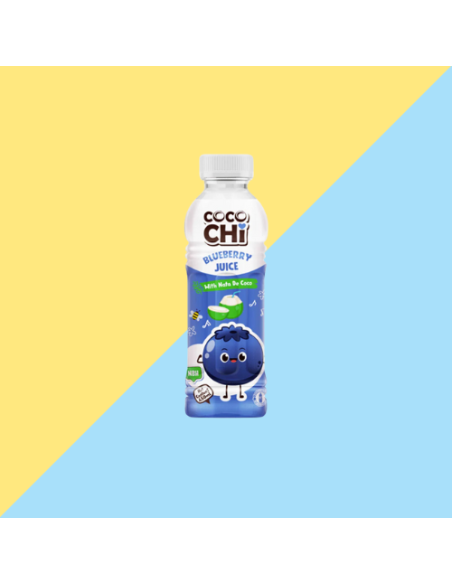 JUS MYRTILLE AVEC NATA COCO COCOCHI 450ML*24/CT