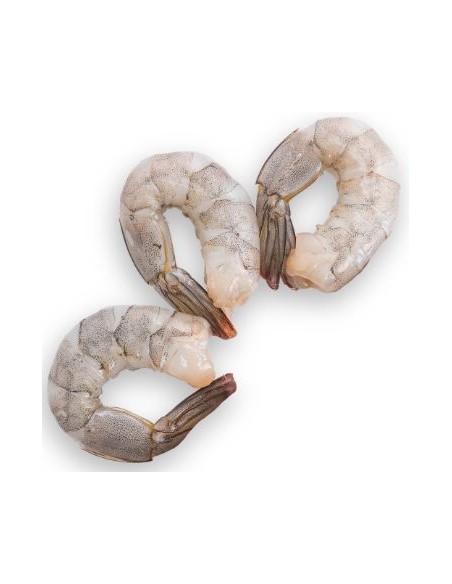 CREVETTE PTO 16/20 EBI/MDM 750G*10/CT