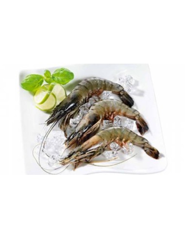 GAMBAS ENTIER 2/4 MDM 800G*10/CT