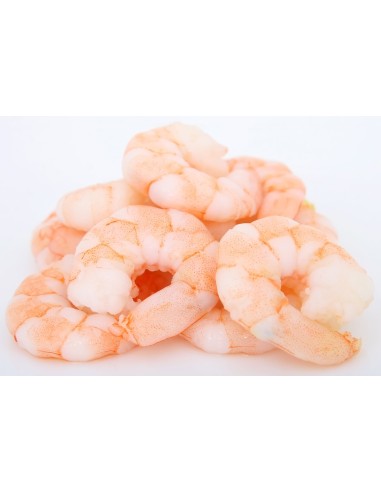 CREV TOUT DECORT 21/25 MDM 800G*10/CT